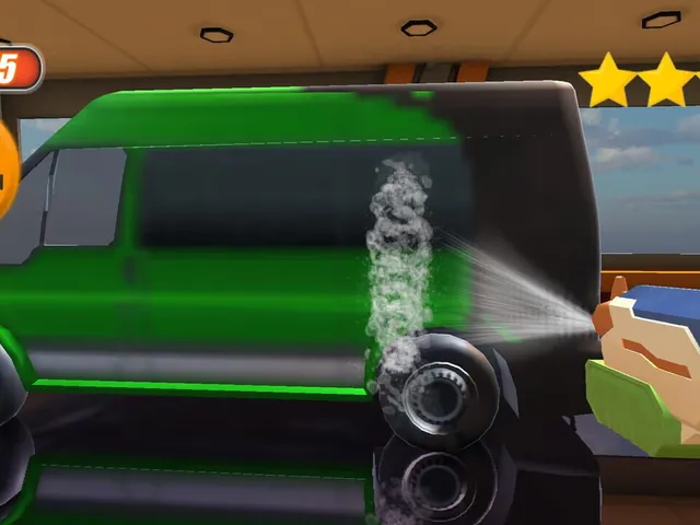 Wash the Cars