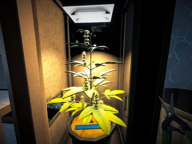 Weed Syndicate Empire