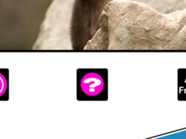 What's the Baby Animal?