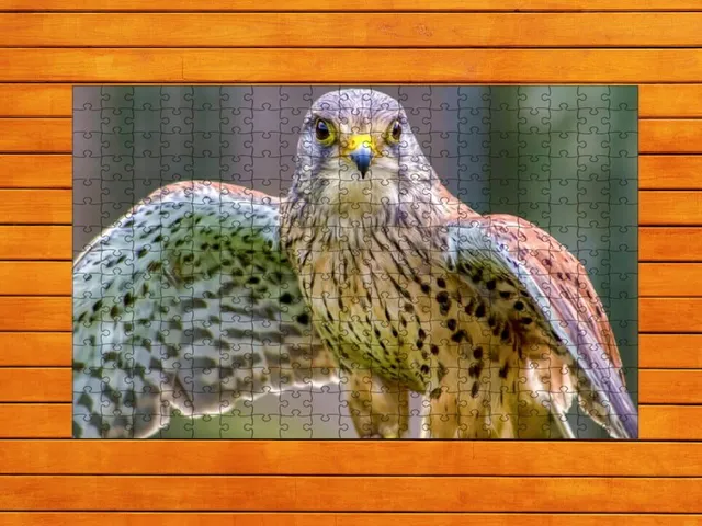 Whispers of Wings Jigsaw Puzzles