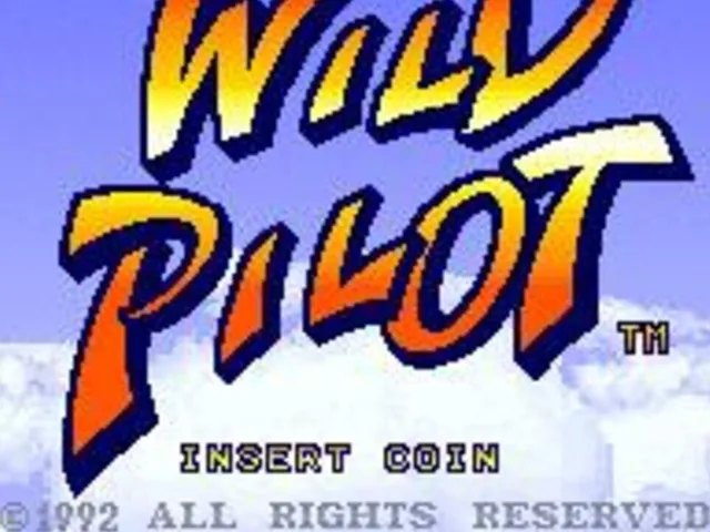 Wild Pilot