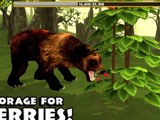 Wildlife Simulator: Bear