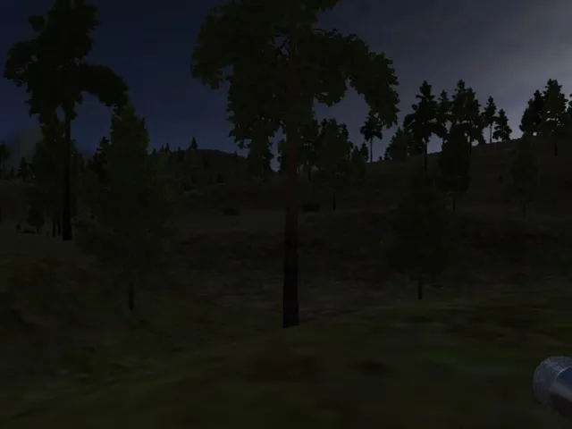 Woodland Walker