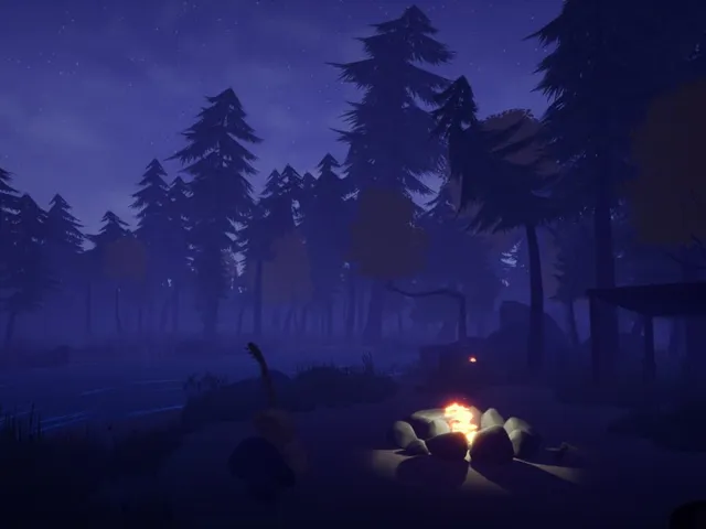 Woods: David's Story