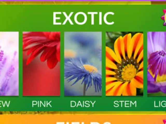 Word Flowers