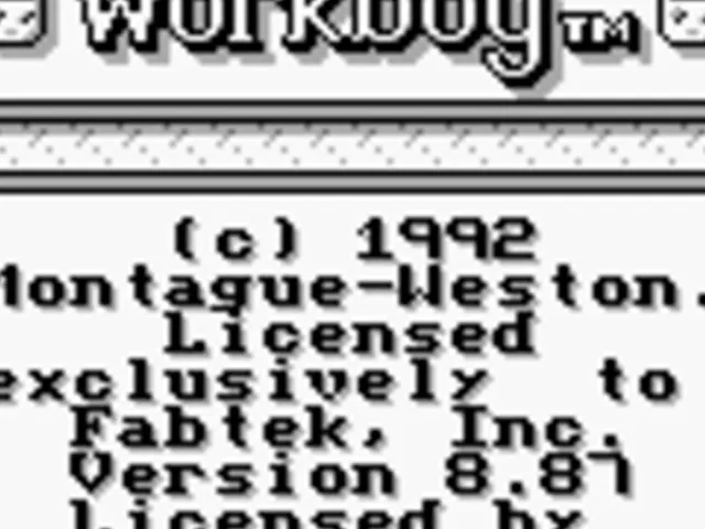 Workboy