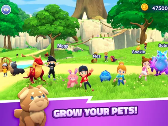 World of Pets: Multiplayer