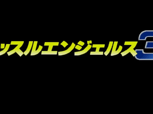 Wrestle Angels 3