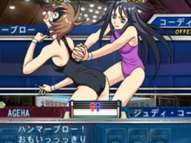 Wrestle Angels: Survivor 2