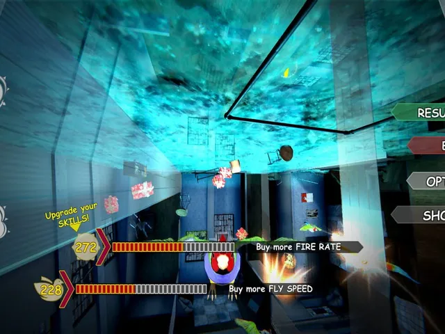 Xbird