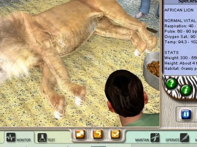 Zoo Vet